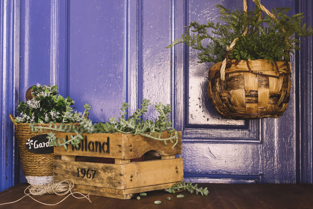 creative-gardening-composition (1).jpg