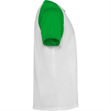 Спортивная футболка INDIANAPOLIS мужская, БЕЛЫЙ/ПАПАРОТНИКОВЫЙ L