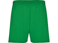 Спортивные шорты Calcio мужские, папоротниковый