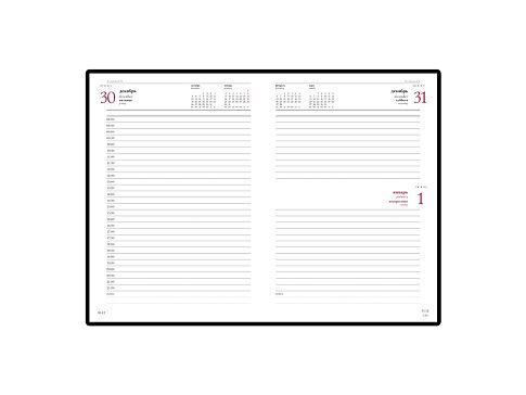 Ежедневник А5 датированный Sidney Nebraska 2025, серый (золотой обрез)