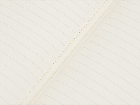 Блокнот Notepeno 130x205 мм с тонированными линованными страницами, зеленое яблоко