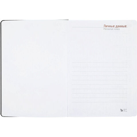 Ежедневник Basis, датированный, серый