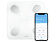 Умные диагностические весы Picooc Mini Lite White (6924917717339), белый
