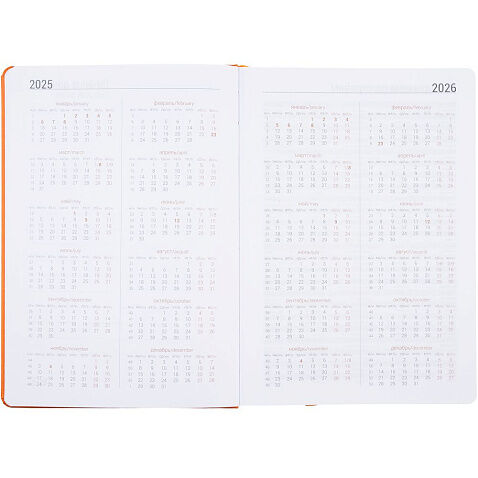 Ежедневник Basis, датированный, оранжевый