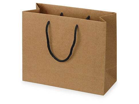 Пакет подарочный Kraft M, 30x25x12 см Пакет подарочный Kraft M, 30x25x12 см