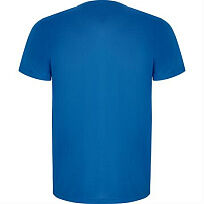 Спортивная футболка IMOLA мужская, КОРОЛЕВСКИЙ СИНИЙ 2XL