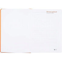 Ежедневник Basis, датированный, оранжевый