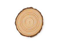 Набор PINEA из 4 подставок из сосны, натуральный