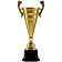 Кубок Recordsman, золотистый