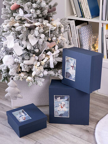 Коробка The Blue Bear, S