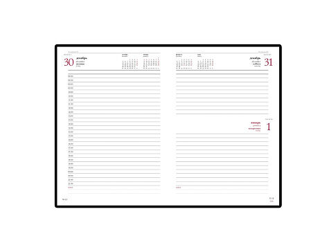 Ежедневник А5 датированный Leader 2025, черный