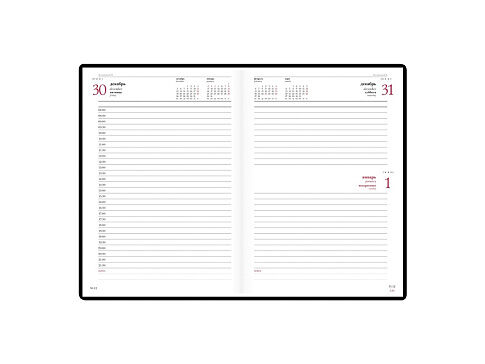 Ежедневник А5 датированный Velvet 2025, черный