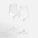 Набор из 2 бокалов для вина Fasetti