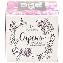 Набор для выращивания «Экокуб Lite», сирень