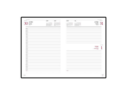 Ежедневник датированный А5 Ideal New 2025, бордовый