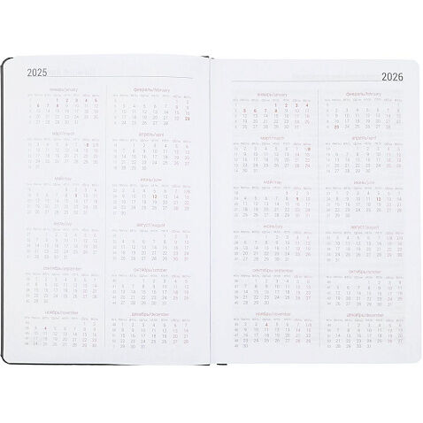 Ежедневник Basis, датированный, серый