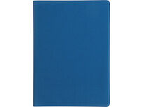 Органайзер Favor 2.0 для семейных документов на 4 комплекта документов, формат А4, синий