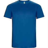 Спортивная футболка IMOLA мужская, КОРОЛЕВСКИЙ СИНИЙ 2XL