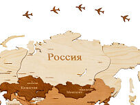 Интерьерная карта мира World